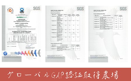 J8-5S051新潟県長岡産　新之助　5kg