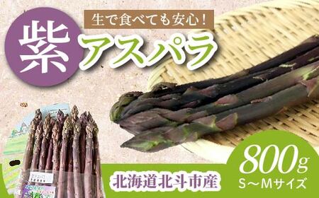 【JAS認定有機紫アスパラ】S～Mサイズ紙箱入〈800g〉 【 ふるさと納税 人気 おすすめ ランキング アスパラガス アスパラ 紫アスパラガス 紫アスパラ 紫アスパラ姫 有機栽培 JAS認定 サラダ 天ぷら 茹でアスパラ アントシアニン 生ジュース スムージー ベーコン巻き おいしい あまい 新鮮 鮮度抜群 シャキシャキ 北海道 北斗市 送料無料 】 HOKB003