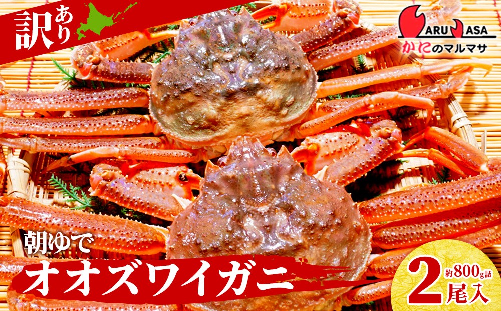 
                  北海道産【 朝ゆで 】訳ありオオズワイガニ 800g詰 道産品 オオズワイ ズワイガニ ずわい蟹 カニ 蟹 規格外品 不揃い 訳アリ 訳有り
                