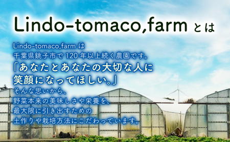 【先行予約】カラフルミニトマト 約1.8kg トマト