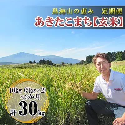 【先行予約】《定期便 3か月》 あきたこまち 10kg  玄米 あきたこまち R8年産