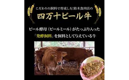 四万十麦酒牛 焼肉用 （450g）厚切りセット 牛肉 モモ ウデ バラ肉 肩ロース ／Asz-04