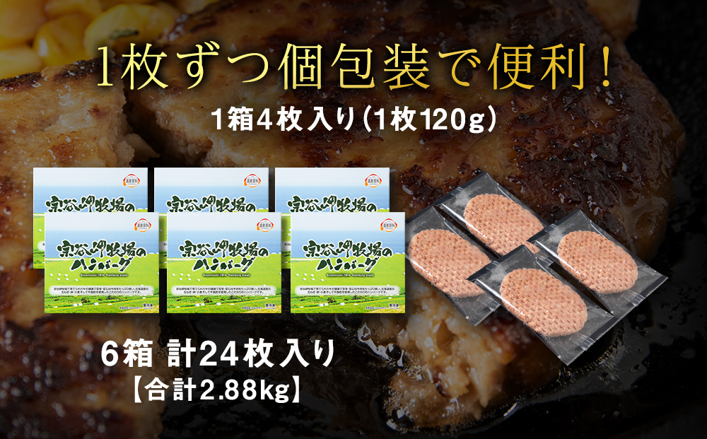 【稚内ブランド認定品】宗谷岬牧場のハンバーグ　120g4枚入×6箱（合計24枚）