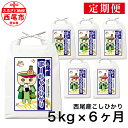 【ふるさと納税】【定期便】令和6年産 西尾産お米（こしひかり5kg×6ヶ月）K201-90 / 月に一度配送 6回配送 合計30キロ 国産米 国内産 日本産 愛知県産 白米 精米済み 食品 西尾市 ご飯 MB