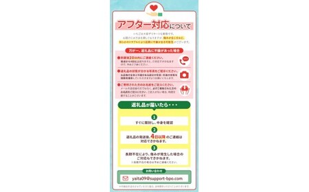 【定期便3回】栃木県産 いちご とちあいか 12～15粒 × 2P 先行予約 選べる発送月 定期便3回 (1月・2月・3月お届け）｜栃木県産 矢板市産 フルーツ スイーツ デザート 果物 果実 産地直
