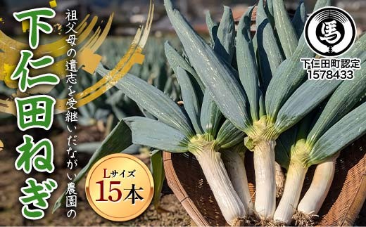 【伝統野菜】祖父母の遺志を受継いだ ながい農園の下仁田ねぎ (Lサイズ15本) 群馬県 下仁田町産 家庭用 鍋 すき焼き F21K-554