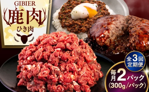 【12月上旬以降順次発送】【全3回定期便】鹿肉 ひき肉 600g (300g×2P)  《喜茂別町》【EBIJIN】 ジビエ 鹿 エゾ鹿 ミンチ 挽肉 挽き肉 冷凍 ハンバーグ そぼろ 冷凍配送 定期便 北海道 [AJAO059] 21000 21000円