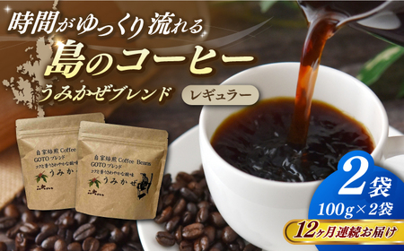 【全12回定期便】Fuuki Coffee Roaster Coffee Beans うみかぜブレンド2パック[RBO025] コーヒー 珈琲 コーヒー 珈琲 コーヒー 珈琲 コーヒー 珈琲九州 長崎