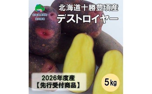 北海道十勝豊頃産デストロイヤー５kg 【2026年秋出荷】（先行受付）［安田農場］