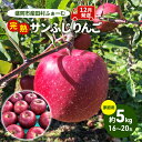 【ふるさと納税】先行予約【12月発送】盛岡市産 田村ふぁーむ 家庭用 完熟 サンふじ りんご 約5kg（16～20玉）　 果物類 フルーツ デザート 果汁 甘い 酸味 バランス 完熟 人気 美味しい 高糖度 　お届け：2024年12月1日～2024年12月25日