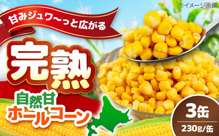 自然甘 ホールコーン 3缶【きもべつ観光協会】 缶詰 瓶詰 加工品 とうもろこし 北海道 常温配送 [AJAG021]