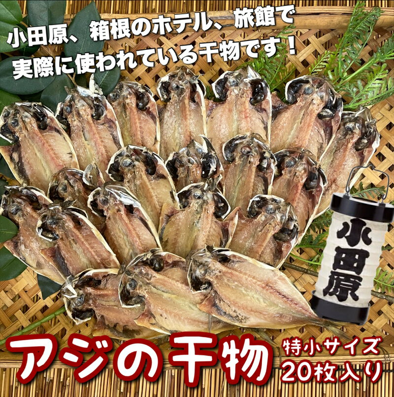 【ふるさと納税】鯵の干物 特小サイズ 20枚セット【 神奈川県 小田原市 】