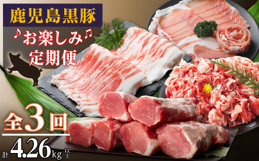 鹿児島黒豚お楽しみ定期便（計３回） 464686_SA167