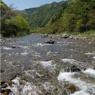 ふるさと納税 津和野町 【CAS冷凍】スイカの香りと美味しさを閉じ込めた清流・高津川の天然鮎200g×3袋(約600g) |  | 02