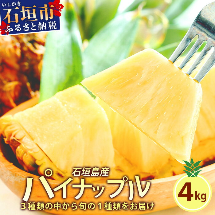 【ふるさと納税】【先行予約】【訳あり】 石垣島産 パイナップル 約4kg 4~10個 《2025年5月から順次発送いたします》| ふるさと納税 パイナップル パイン フルーツ 果物 果実 南国フルーツ 訳あり 沖縄県 石垣市 石垣島 産地直送 ふるさと 人気 送料無料 KP-15