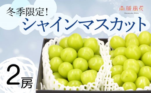 ＜2026年発送分先行予約＞冬に食べる　シャインマスカット2房 ALPAJ010　| シャインマスカット ぶどう フルーツ 冬 シャイン 2房 南アルプス市 山梨 山梨県