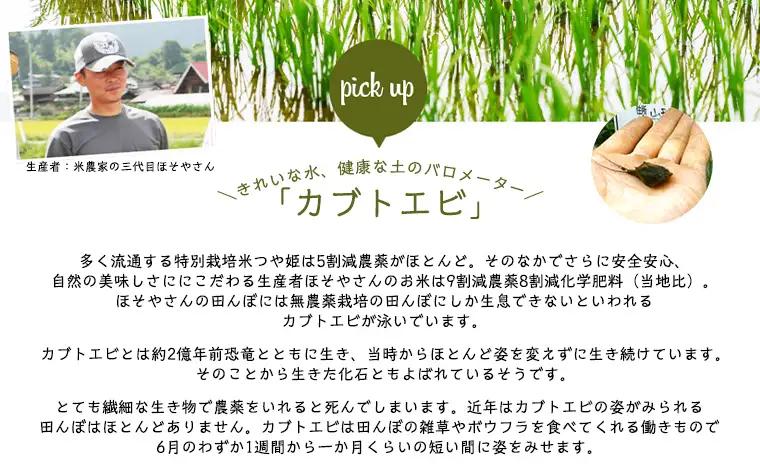 令和7年度産 山形産 「つや姫」10kg (玄米) 特別栽培米 8割減農薬・9割減化学肥料（当地比）【カブトエビが泳ぐほそやさんの田んぼから】微生物を活性化させるワーコム栽培 FY26-270