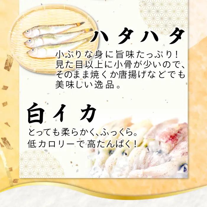定番の干物４種詰合せセット【干物 セット アジ エテカレイ ハタハタ 白いか 鯵 鰈 鰰 白イカ 島根県産 島根県沖 一夜干し ひもの 魚 魚介 日本食 和食 贈答 ギフト お取り寄せグルメ ご当地グ