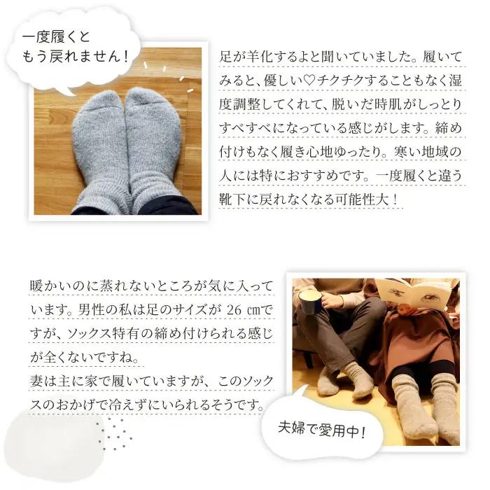 ひつじ飼いが作る ウールソックス（ベージュ）【ウールソックス 靴下 ソックス 厚手 フリーサイズ ベージュ 羊 レディース メンズ 男女兼用 島根県 大田市】