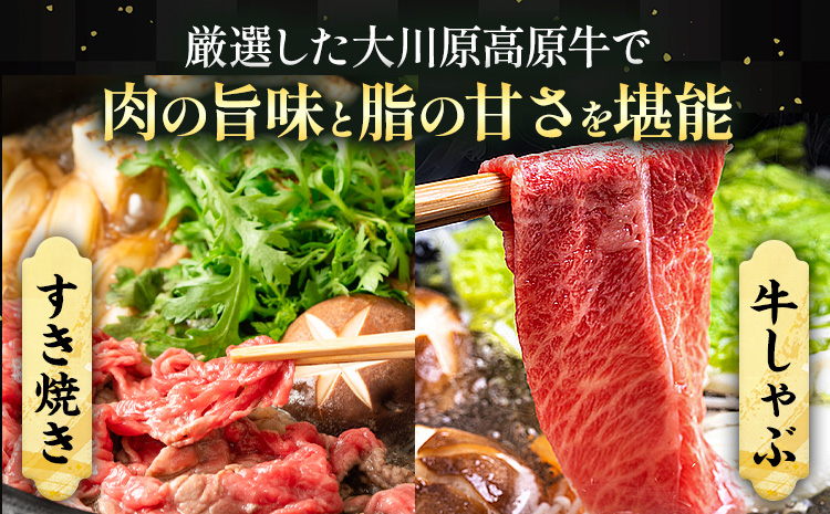 【年間10頭！】大川原高原牛 特選ローススライス 1kg 肉の藤原《30日以内に出荷予定(土日祝除く)》和牛 希少 佐那河内 さなごうち 大川原高原 牛肉 鍋  特選 ロース 贅沢  炒め物 煮物 肉