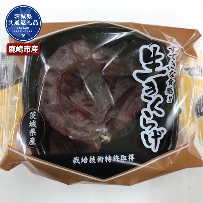 【ふるさと納税】きくらげ 1パック50g×36パック 茨城県共通返礼品・鹿嶋市産 送料無料