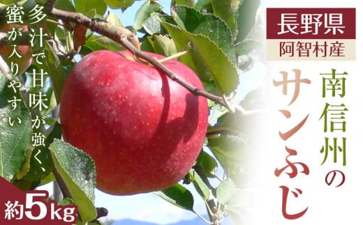 
            【令和7年12月上旬～順次発送】南信州 阿智村 りんご「サンふじ」約5kg｜  果物 フルーツ 林檎 リンゴ 信州 長野
          