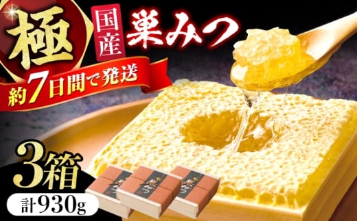 極巣みつ 930g (310g×3個) 蜂蜜 はちみつ ハチミツ すみつ 巣蜜 コムハニー 極上 濃厚 ギフト スピード配送 広川町 / 株式会社九州蜂の子本舗 [AFAI009]