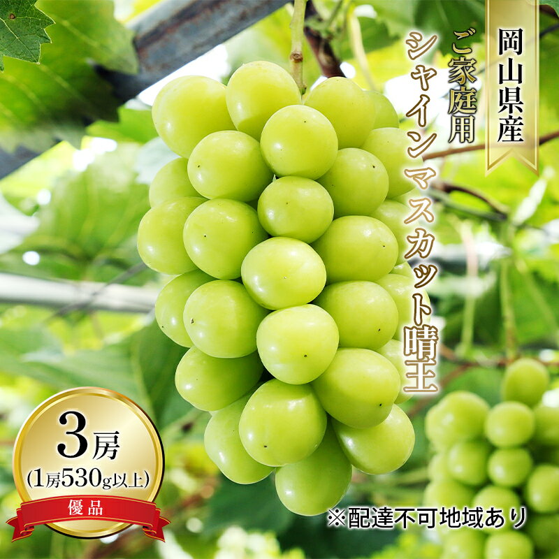 【ふるさと納税】ぶどう 2025年 先行予約 ご家庭用 シャイン マスカット 晴王 優品 3房入り（1房 530g以上 露地栽培） ブドウ 葡萄 岡山県産 国産 フルーツ 果物 　お届け：2025年9月上旬～2025年10月中旬