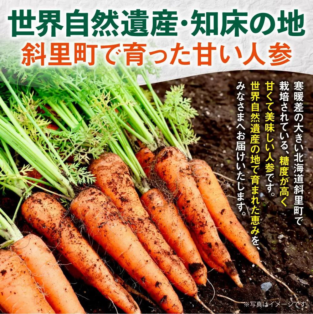 北海道斜里町 知床にんじん 10kg（Lサイズ） | 人参 北海道産 野菜 北海道 斜里町