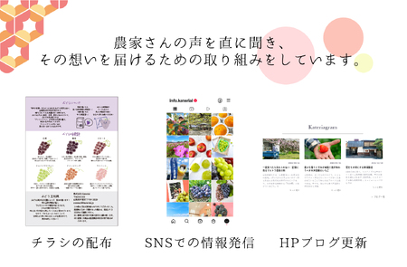 ＜2026年発送先行予約＞ピオーネ2.0kg相当 ALPAJ008