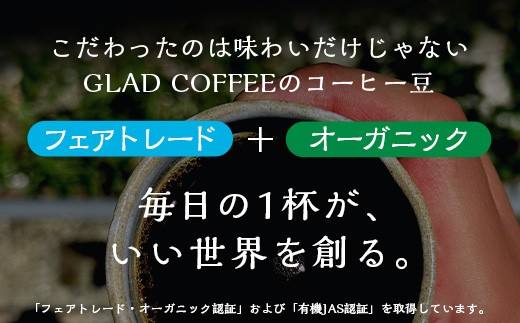 ブレンドコーヒー 30袋 《ドリップ中挽10g  》大容量有機JAS フェアトレード コーヒー豆使用 佐賀県 鹿島市 D-307