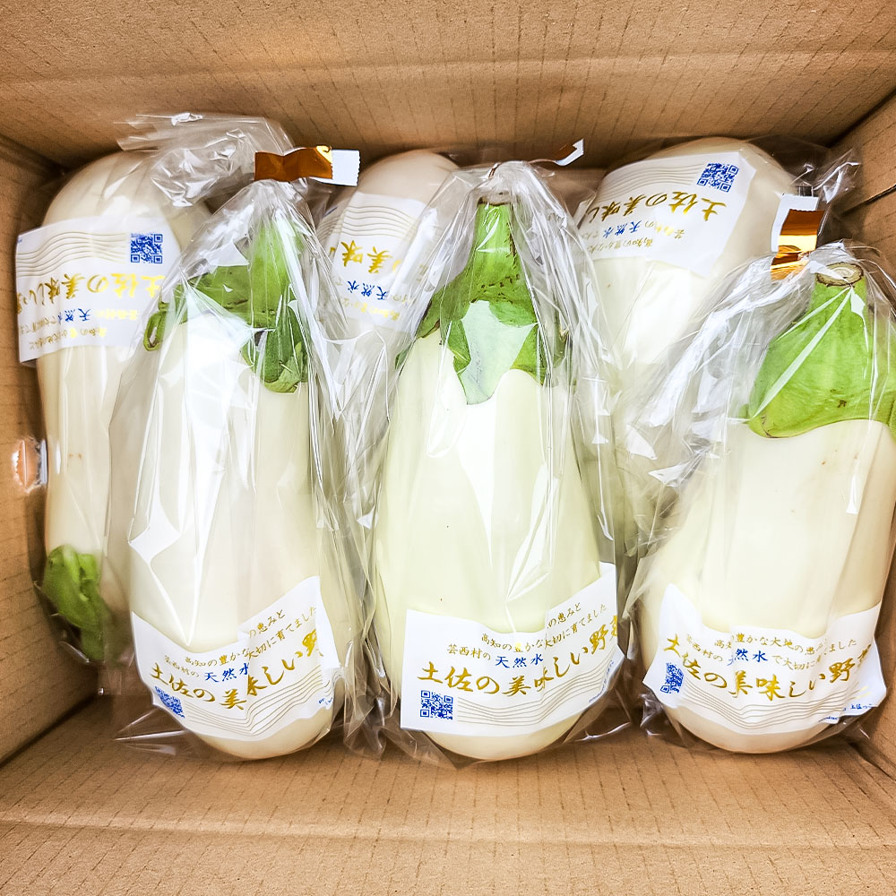 先行予約 白ナス6本 -  なす 茄子 1本200g以上 野菜 新鮮 美味しい グラタン シチュー ラタトゥイユ 洋食 和食 料理 お取り寄せ ふるさとのうぜい 故郷納税 5000円 返礼品 高知県 
