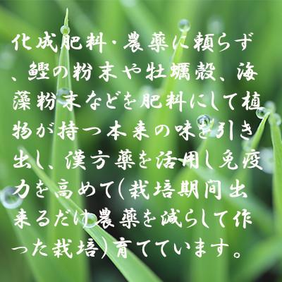 ふるさと納税 新庄市 漢方栽培　低温熟成乾燥　十四代目のササニシキ　5kg×2袋 |  | 03