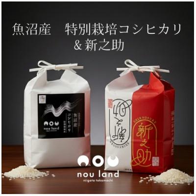 ふるさと納税 十日町市 特栽コシヒカリ&amp;新之助　各5kg×1セット(精米)