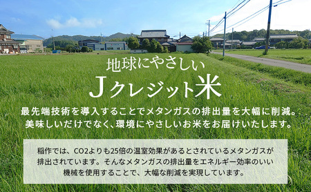 【令和8年産 先行受付】しきゆたか 白米 10kg《2027年1月発送》
