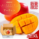 【ふるさと納税】あったかマンゴー / アーウィン / 小（単品）　【 果物 フルーツ デザート 食後 国産 日本産 アップルマンゴー お試し用 】　お届け：2024年7月下旬～9月下旬