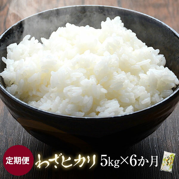 【ふるさと納税】 【定期便】【毎月10日ごろ発送】お米 ブレンド米 五つ星マイスター 吟味 わざヒカリ 5kg × 6ヶ月 定期便 ご自宅までお届け 原田米店 米 ひのひかり 定期 鹿児島 ギフト プレゼント お中元 お歳暮 薩摩川内市 ふるさと 納税