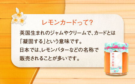 【全3回定期便】いつもの朝食を特別に！江田島はちみつレモンカード『檸檬の初恋』120g×1本 れもん ハチミツ ハニー バター 蜂蜜 広島県 江田島市/はつはな果蜂園[XCD012]