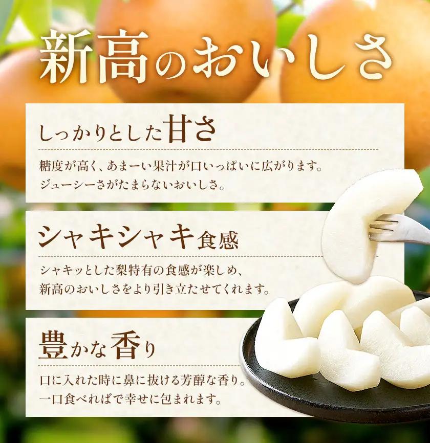 新高梨 3㎏ 日本フルーツ株式会社 梨