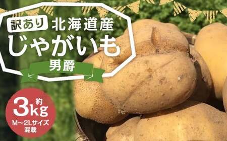 【訳あり】 北海道産 じゃがいも （男爵） 約3kg 山田農場 訳アリ 理由あり わけあり だんしゃく ジャガイモ 芋 いも 野菜 やさい ほくほく 北海道 京極町 常温 【2026年9月下旬-2027年1月上旬迄発送予定】