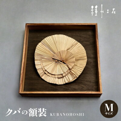 【ふるさと納税】クバの額装KUBANOHOSHI(黒木目)Mサイズ【1503762】