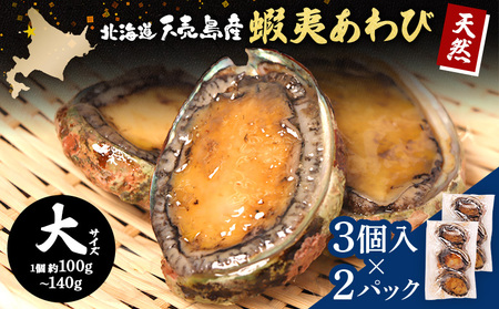 【北海道】天売島産 天然蝦夷あわび 大サイズ 3個入×2パック (1個 約100g～140g)【02163】