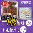 【ふるさと納税】国産うなぎ蒲焼3尾+白魚干し200g【最短3日発送】｜土用丑の日 うなぎ ウナギ 鰻 詰め合わせ セット おつまみ うな丼 鰻丼 蒲焼き かば焼き お茶漬け 冷蔵※沖縄・離島への配送不可