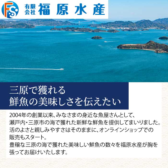 瀬戸内産 天然鯛 約2.5kg（500g×5匹/鱗・内臓処理） 鯛 天然鯛 真鯛 天然 鮮魚 下処理済 瀬戸内 広島県 三原市 154006
