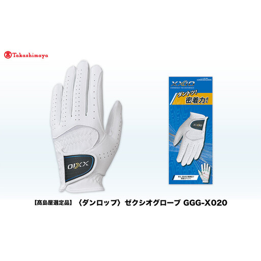 【高島屋選定品】ゼクシオグローブ GGG-X020 ブラック21cm