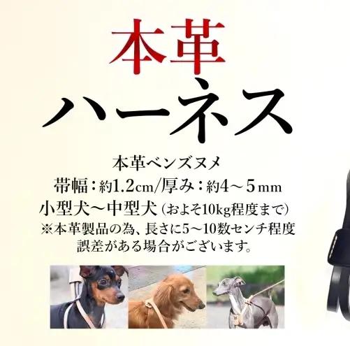 犬用 ハーネス 胴輪 小型犬 中型犬 ナチュラル ヌメ革 レザー 本革 牛革 手作り ハンドメイド ペット用品 お散歩 お出かけ オーダーメイド 犬具 神奈川県 ギフト 贈り物 プレゼント ご褒美 ブ