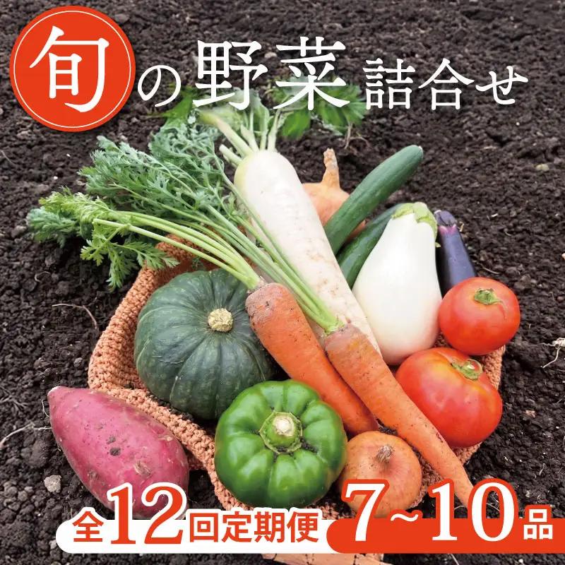 【定期便12回】京野菜セット 7~10種  定期便 スペシャルコース 野菜定期便