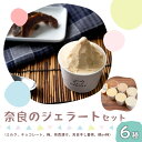 【ふるさと納税】奈良のジェラート セット 80ml ×6（ 6種 ）| お菓子 おかし オカシ アイス あいす ジェラート ミルク チョコレート 奈良漬け 梅 番茶 桃 柿 奈良県 五條市