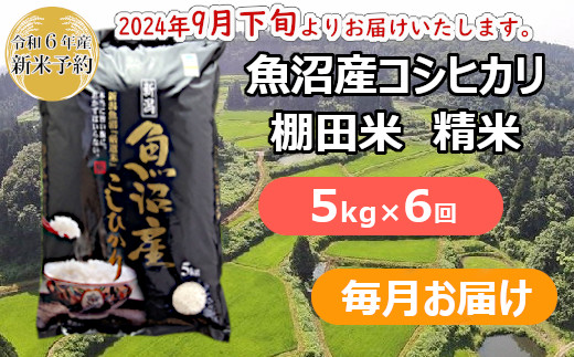 
S86P278 【令和6年産 新米予約】魚沼産コシヒカリ・棚田米 白米5kg×6回（毎月）早期受付 2024年9月下旬頃より発送開始 白米 魚沼 米
