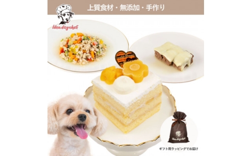 ＜マンゴーのショートケーキセット＞犬のケーキ・ごはん 無添加 手作り Idea dog chef【1660625】